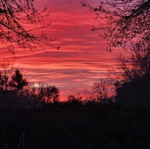 Meet your Posher, Sylvia